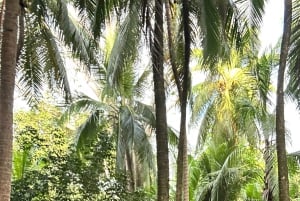 Avventura di un giorno tra cascate e spiagge