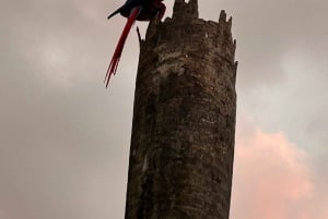 Avventura di un giorno tra cascate e spiagge