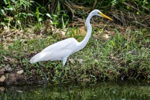 Avventura di un giorno tra cascate e spiagge
