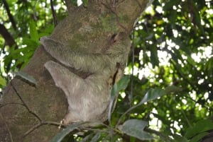 Avventura di un giorno tra cascate e spiagge