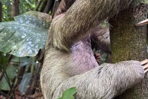 Avventura di un giorno tra cascate e spiagge