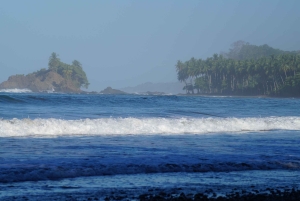 Full Day Dominical Surf Lesson