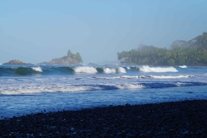 Full Day Dominical Surf Lesson
