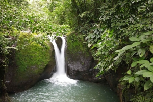 Full Day Waterfall Tour