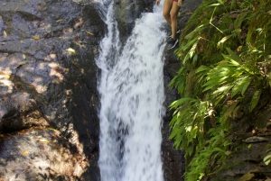 Full Day Waterfall Tour