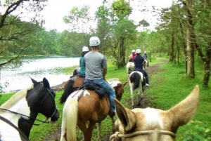 FullDay 10: Tubing, Horseback Riding, Canopy + HotSprings