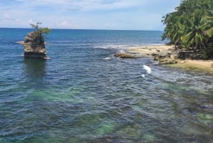 Puerto Viejo Talamanca: Hike through Gandoca Manzanillo Wild Life refuge.