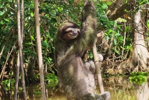 Puerto Viejo Talamanca: Hike through Gandoca Manzanillo Wild Life refuge.