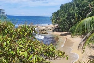 Puerto Viejo Talamanca: Hike through Gandoca Manzanillo Wild Life refuge.