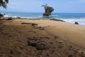 Puerto Viejo Talamanca: Hike through Gandoca Manzanillo Wild Life refuge.