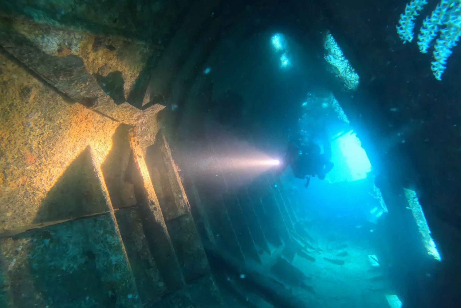 Golfito, Costa Rica: Fantastiska dagsutflykter med vrak- och/eller revdykning