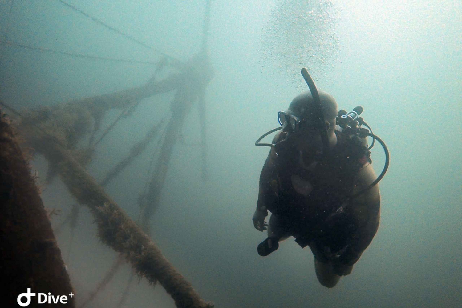 Golfito, Costa Rica: Fantastiska dagsutflykter med vrak- och/eller revdykning