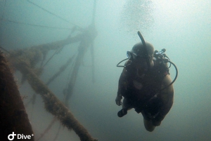 Golfito, Costa Rica: Fantastiska dagsutflykter med vrak- och/eller revdykning