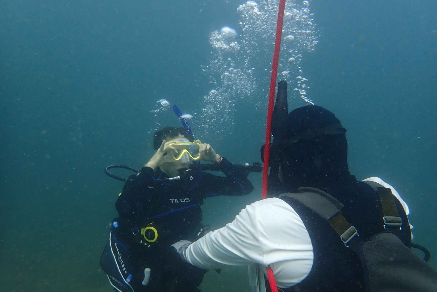 Golfito, Costa Rica: PADI Open Water Diver-certifiering