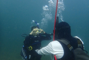 Golfito, Costa Rica: PADI Open Water Diver-certifiering
