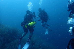 Golfito, Costa Rica: PADI Open Water Diver-certifiering