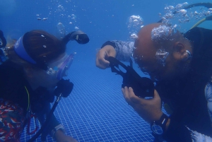 Golfito, Costa Rica: PADI Open Water Diver-certifiering