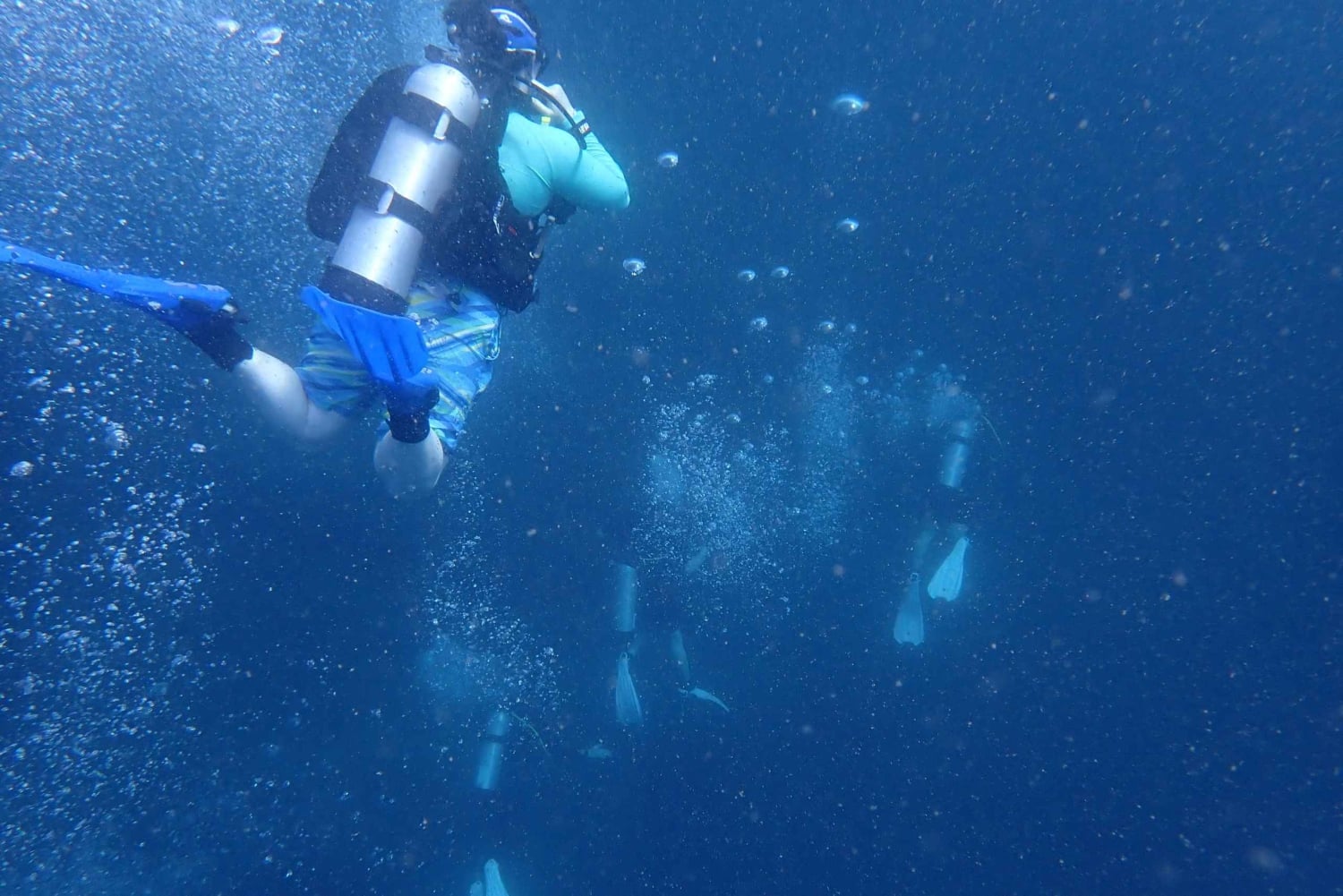 Golfito CR: Oplev scubadykning, ingen erfaring nødvendig