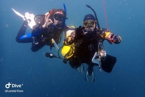 Golfito CR: Oplev scubadykning, ingen erfaring nødvendig