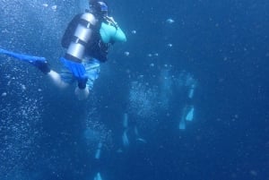 Golfito CR: Oplev scubadykning, ingen erfaring nødvendig