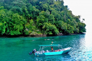 Golfo Dulce: Explore Coral Reefs on our Snorkeling Tour