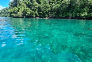 Golfo Dulce: Explore Coral Reefs on our Snorkeling Tour