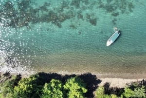 Golfo Dulce: Dulce Dulce: 100% yksityinen ja henkilökohtainen snorklauskierros