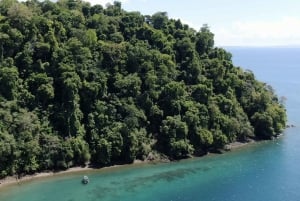 Golfo Dulce: Dulce Dulce: 100% yksityinen ja henkilökohtainen snorklauskierros