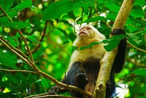 Guanacaste: 3-in-1 Rincon de la Vieja Park Nature Day Pass