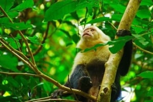 Guanacaste: pass giornaliero 3 in 1 per il Parco Rincon de la Vieja