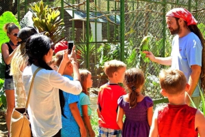 Guanacaste: ATV- und Zip-Line-Abenteuer mit Strand-Hopping