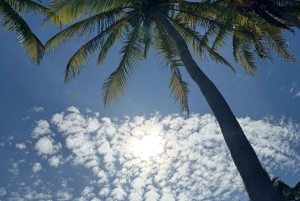 Guanacaste: ATV- und Zip-Line-Abenteuer mit Strand-Hopping