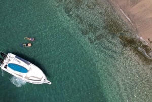 Guanacaste: Strandutforskningstur med lokal guide