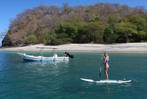 Guanacaste: Strandutforskningstur med lokal guide