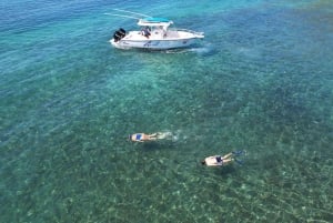 Guanacaste: Strandutforskningstur med lokal guide
