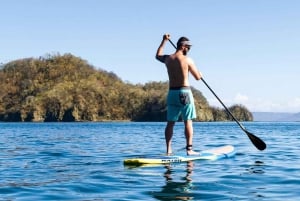 Guanacaste: Strandutforskningstur med lokal guide