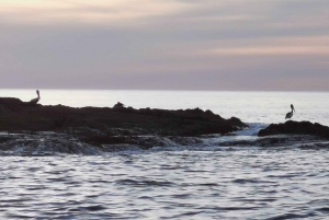 Guanacaste : Visite privée en catamaran