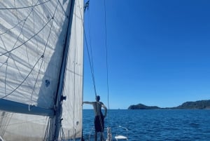 Guanacaste : Visite privée en catamaran