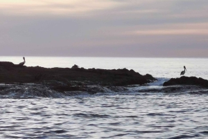Guanacaste : Visite privée en catamaran