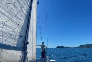 Guanacaste : Visite privée en catamaran