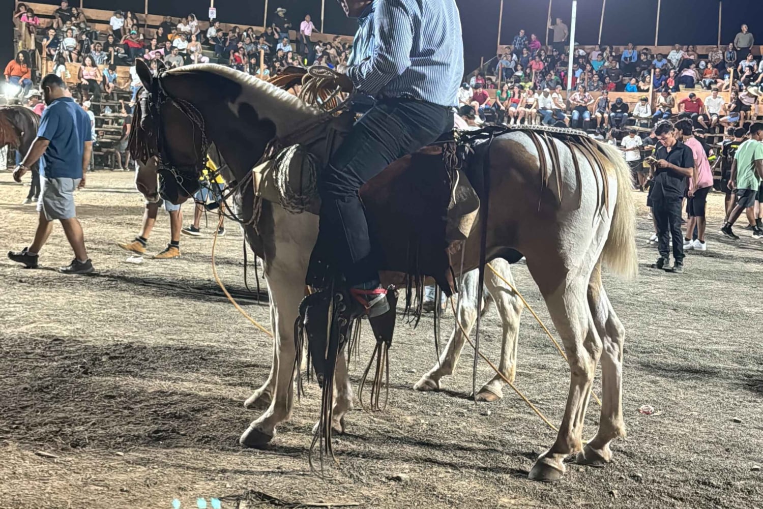 Guanacaste: Cowboy Culture & Fiesta Experience with a Guide