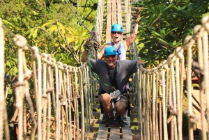 グアナカステ：ディアマンテ アドベンチャー パーク 終日アドベンチャー パス