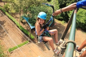 グアナカステ：ディアマンテ アドベンチャー パーク 終日アドベンチャー パス