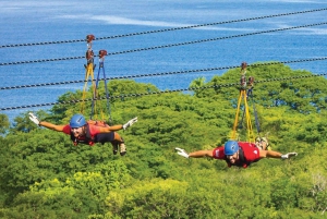 Guanacaste: Diamante Eco Adventure Park Day Pass with Lunch