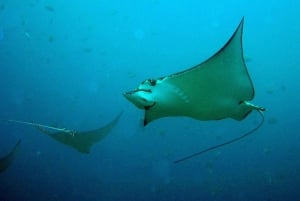 Guanacaste: Discover Scuba Dive Day in Papagayo Gulf