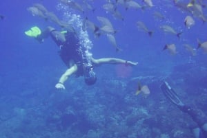 Guanacaste: Discover Scuba Dive Day in Papagayo Gulf