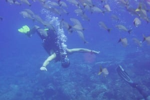 Guanacaste: Oppdag dykkedag i Papagayobukten