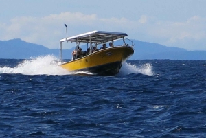 Гуанакасте: откройте для себя день подводного плавания в заливе Папагайо