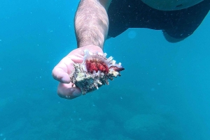 Guanacaste: Guided Shore Snorkeling and Marine Discovery