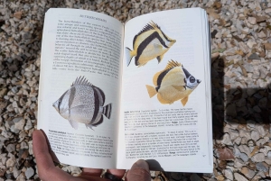 Guanacaste: Guided Shore Snorkeling and Marine Discovery